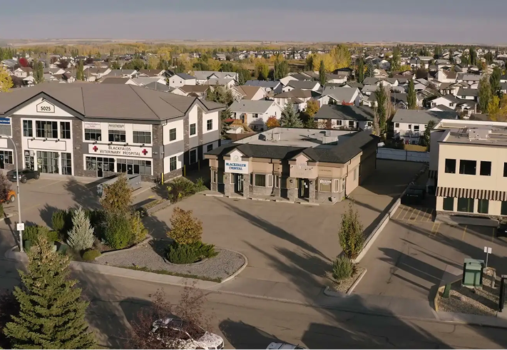 Blackfalds city view